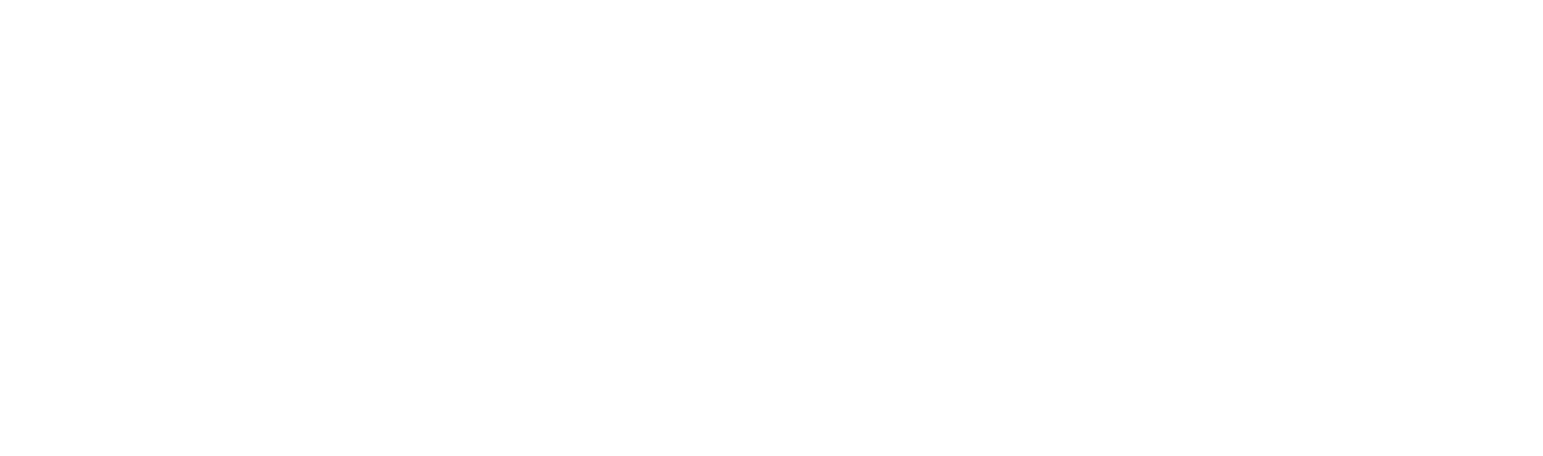 Partner 5