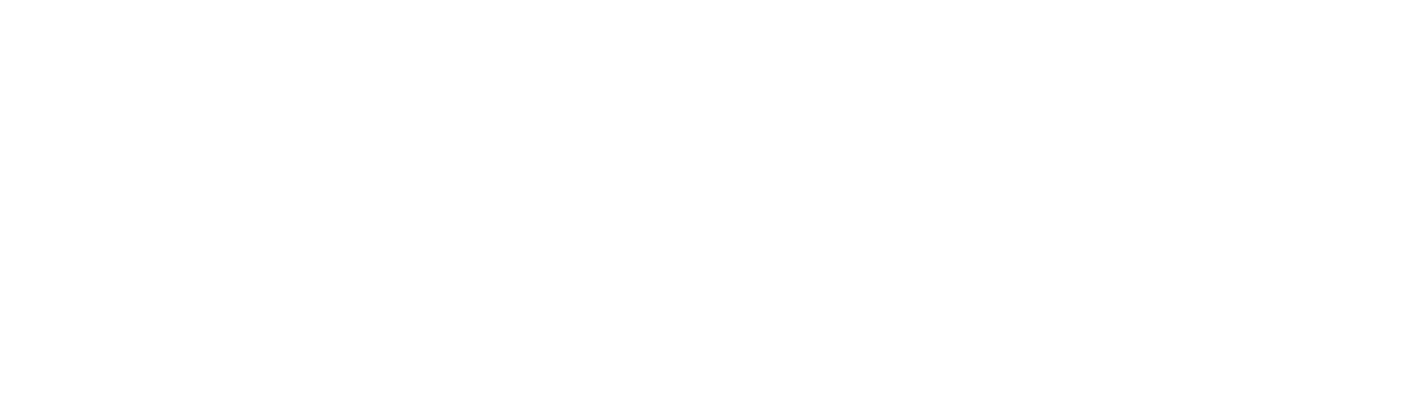 Partner 11