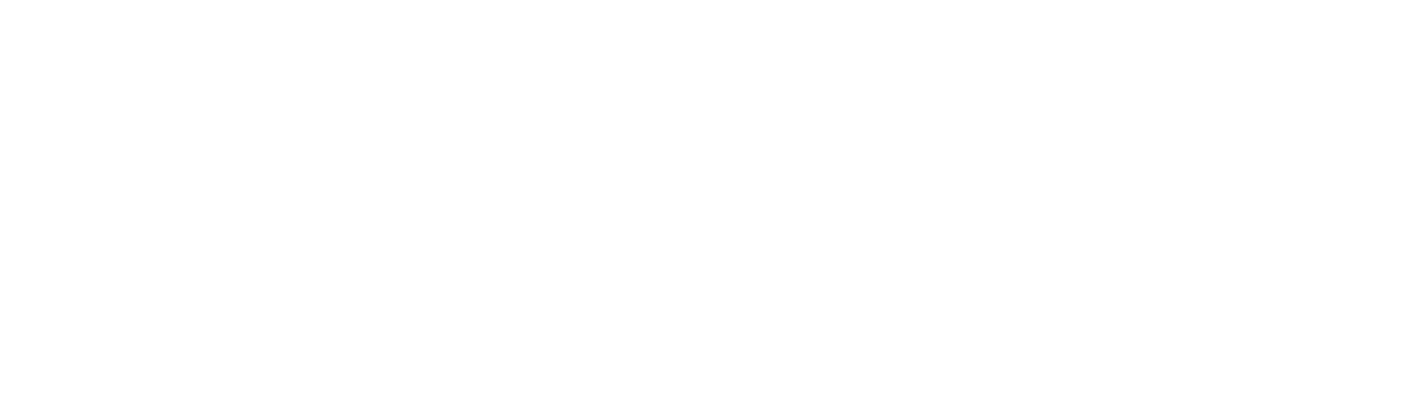 Partner 5