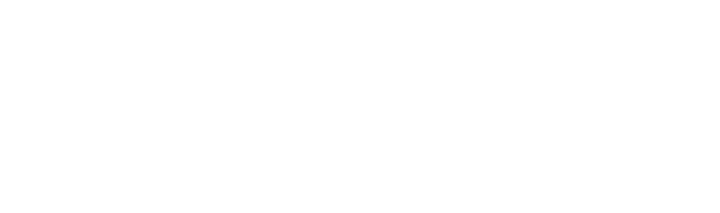 Partner 11